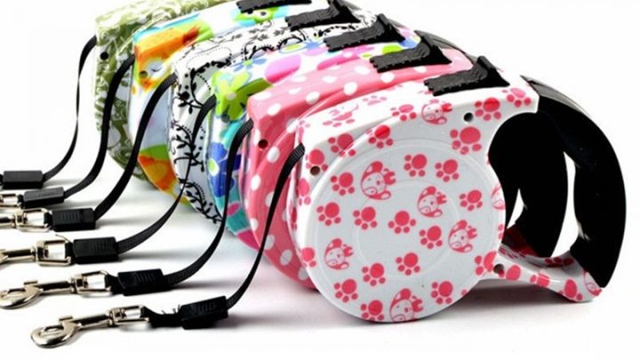 558-24084250e07218d5e9239ef6e1fda8e9-720x405 Central Minnesotans Share Photos of Their Pets-National Pet Day - 98.1 - Minnesota's New Country Pets Pets News  