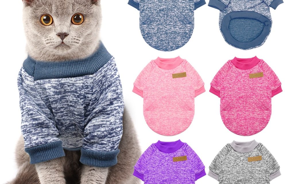 776-e78d27087849e9ee20cab2876c76a658-1000x641 Central Minnesotans Share Photos of Their Pets-National Pet Day - 98.1 - Minnesota's New Country Pets Pets News  