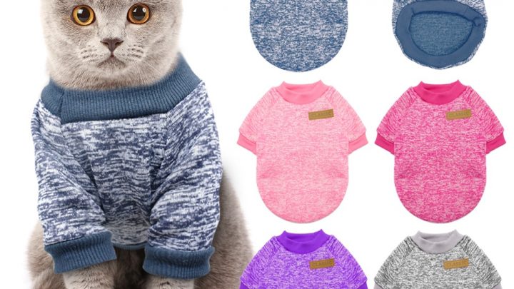 776-e78d27087849e9ee20cab2876c76a658-720x405 3 BRILLIANT MINUTES: A study of sleep and pets - WBAY Pets Pets News  