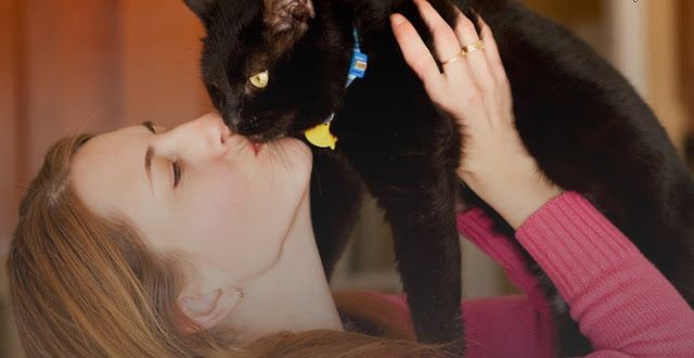 fortuna-o-sfortuna-le-tradizioni-in-europa-sul-gatto-nero-lifestyle-ansa-it Fortuna o sfortuna? Le tradizioni in Europa sul gatto nero - Lifestyle - ANSA.it Pets News  