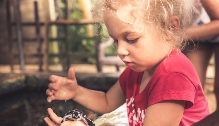 giornata-mondiale-degli-animali-animali-domestici-i-nostri-cuccioli-per-sempre-ecco-perche-li-amiamo-lifestyle-agenzia-ansa-700x405 Giornata mondiale degli animali. Animali domestici, i nostri 'cuccioli per sempre', ecco perchè li amiamo - Lifestyle - Agenzia ANSA Pets News  