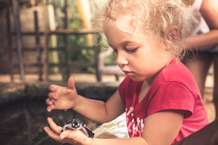 giornata-mondiale-degli-animali-animali-domestici-i-nostri-cuccioli-per-sempre-ecco-perche-li-amiamo-lifestyle-agenzia-ansa Giornata mondiale degli animali. Animali domestici, i nostri 'cuccioli per sempre', ecco perchè li amiamo - Lifestyle - Agenzia ANSA Pets News  