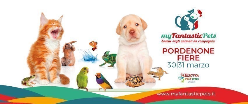 my-fantastic-pets-a-pordenone-fiere-per-conoscere-meglio-gli-triesteallnews “My Fantastic Pets” a Pordenone Fiere, per conoscere meglio gli... - TRIESTEALLNEWS Pets News  