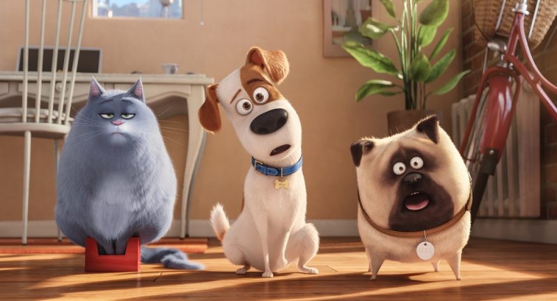 pets-2-rilasciato-un-nuovo-trailer-con-la-voce-di-harrison-ford-my-red-carpet Pets 2, rilasciato un nuovo trailer con la voce di Harrison Ford - My Red Carpet Pets News  