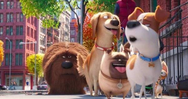 pets-al-cinema-eliseo-cesena-home-corriere-cesenate Pets al Cinema Eliseo / Cesena / Home - Corriere Cesenate Pets News  