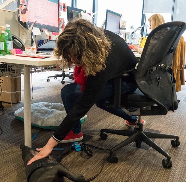 pets-at-work-insieme-e-meglio-corriere-della-sera-655x641 Pets at work, insieme è meglio! - Corriere della Sera Pets News  