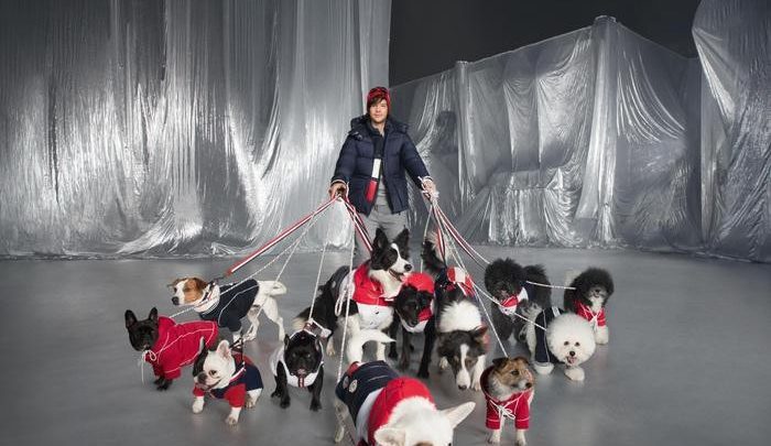 pets-e-concorso-mania-per-i-cani-ecco-le-regole-lifestyle-ansa-it-700x405 Pets, è concorso mania per i cani, ecco le regole - Lifestyle - ANSA.it Pets News  