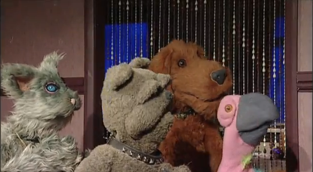 pets-gli-animali-da-compagnia-che-nessuno-vorrebbe-avere-periodico-daily-notizie Pets: Gli animali da compagnia che nessuno vorrebbe avere - Periodico Daily - Notizie Pets News  