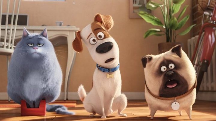 pets-i-cuccioli-di-casa-illumination-movieplayer-it-720x405 Pets, i cuccioli di casa Illumination - Movieplayer.it Pets News  