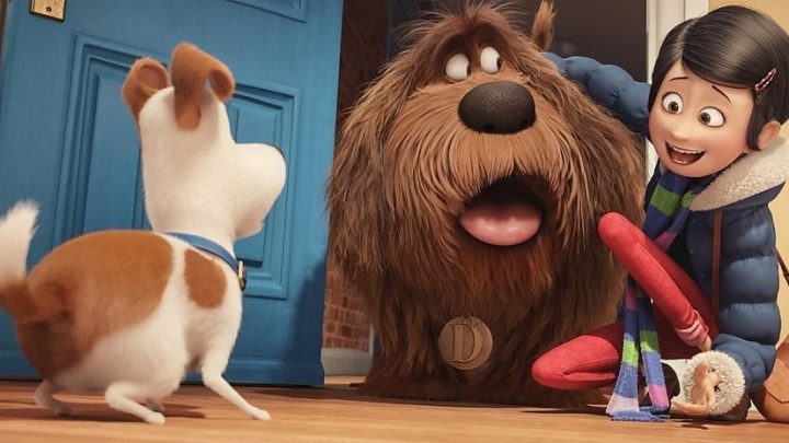 pets-vita-da-animali-a-quei-cagnolini-non-manca-neanche-la-parola-la-repubblica-720x405 "Pets - Vita da animali": a quei cagnolini non manca neanche la parola - La Repubblica Pets News  