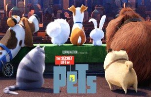 pets-vita-da-animali-di-chris-renaud-cinefile-cinefile Pets - Vita da animali di Chris Renaud | CineFile - CineFile Pets News  