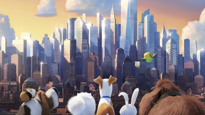 pets-vita-da-animali-due-taxidrivers-it-720x405 Pets - Vita da animali | Due... - Taxidrivers.it Pets News  