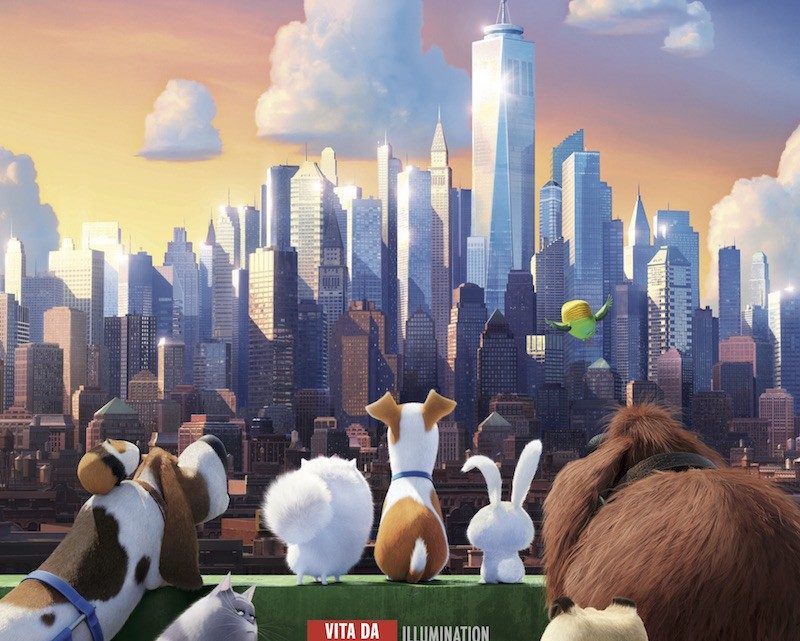 pets-vita-da-animali-due-taxidrivers-it-800x641 Pets - Vita da animali | Due... - Taxidrivers.it Pets News  