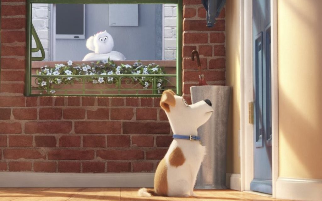 pets-vita-da-animali-ecco-cosa-fanno-quando-restano-da-soli-a-casa-cinema-fanpage-1025x641 “Pets – Vita da animali”, ecco cosa fanno quando restano da soli a casa - Cinema Fanpage Pets News  