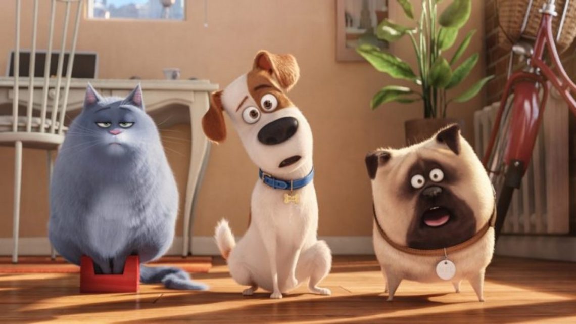 pets-vita-da-animali-opinioni-e-recensioni-del-film-superguidatv-1140x641 Pets – Vita da animali – Opinioni e recensioni del film - SuperGuidaTV Pets News  