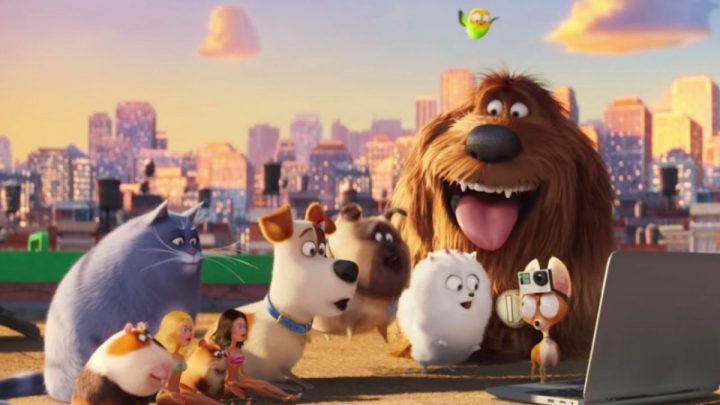 pets-vita-da-animali-recensione-del-dvd-cinematographe-720x405 Pets – Vita da Animali: recensione del DVD - Cinematographe Pets News  