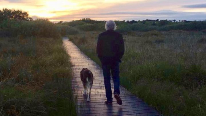 prima-azienda-al-mondo-posseduta-da-animali-ed-e-italiana-pets-ansa-it-720x405 Prima azienda al mondo posseduta da animali, ed è italiana - Pets - ANSA.it Pets News  