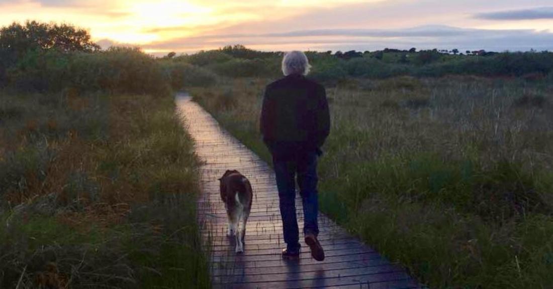 prima-azienda-al-mondo-posseduta-da-animali-ed-e-italiana-pets-ansa-it Prima azienda al mondo posseduta da animali, ed è italiana - Pets - ANSA.it Pets News  