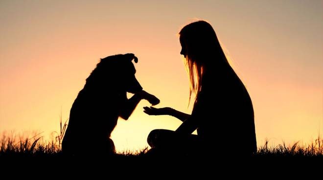sofis-pets-news-lamore-verso-gli-animali-ci-definisce-come-persone-bergamonews-it “Sofi’s pets news”: l’amore verso gli animali ci definisce come persone - BergamoNews.it Pets News  