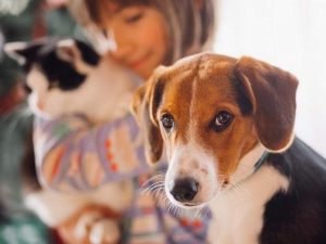 stati-danimo-positivi-ecco-come-riconoscerli-nei-pets-green-planner-1-300x225 stati-danimo-positivi-ecco-come-riconoscerli-nei-pets-green-planner  